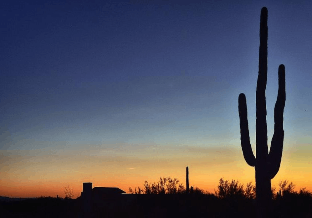 Southwest Business Consulting